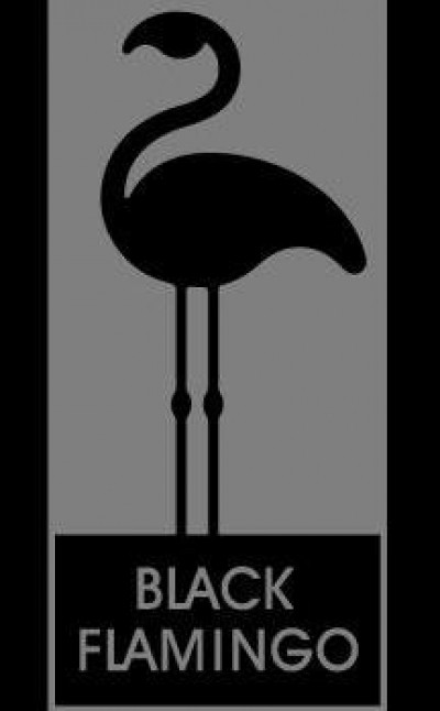 Black Flamingo Publishing