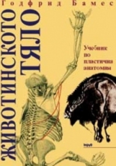 Животинското тяло. Учебник по пластична анатомия